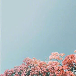 Meet your Posher, Mieka